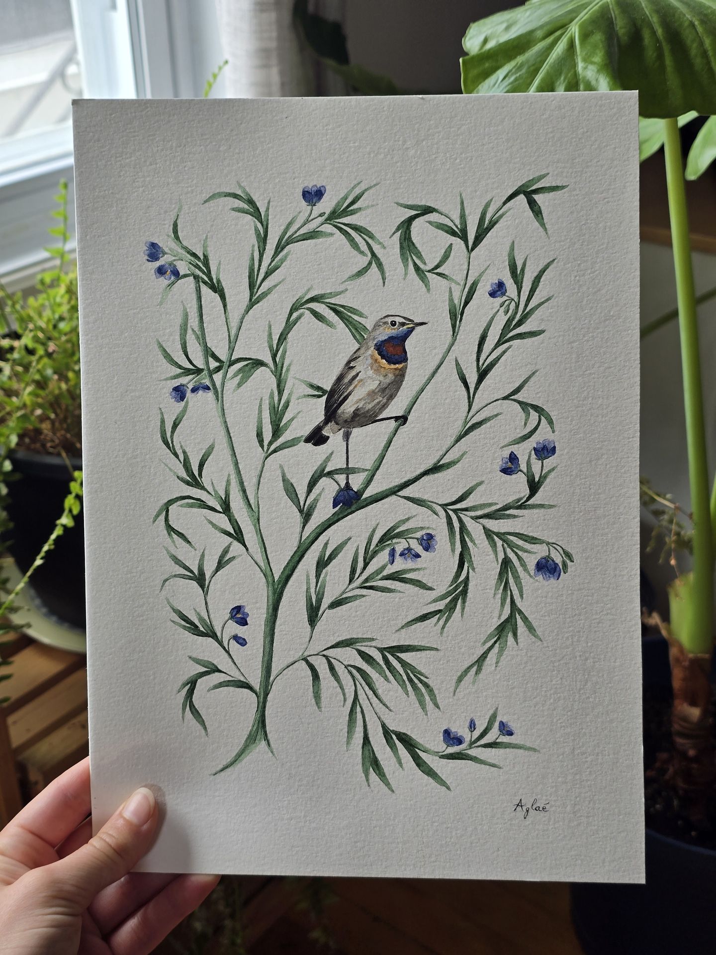 Illustration à l'aquarelle
