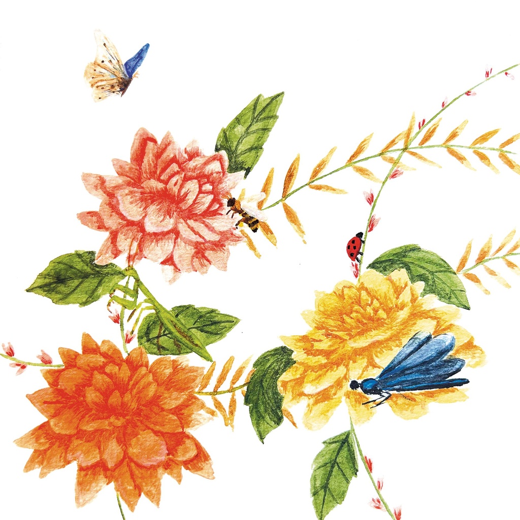 Carte "Dahlias"