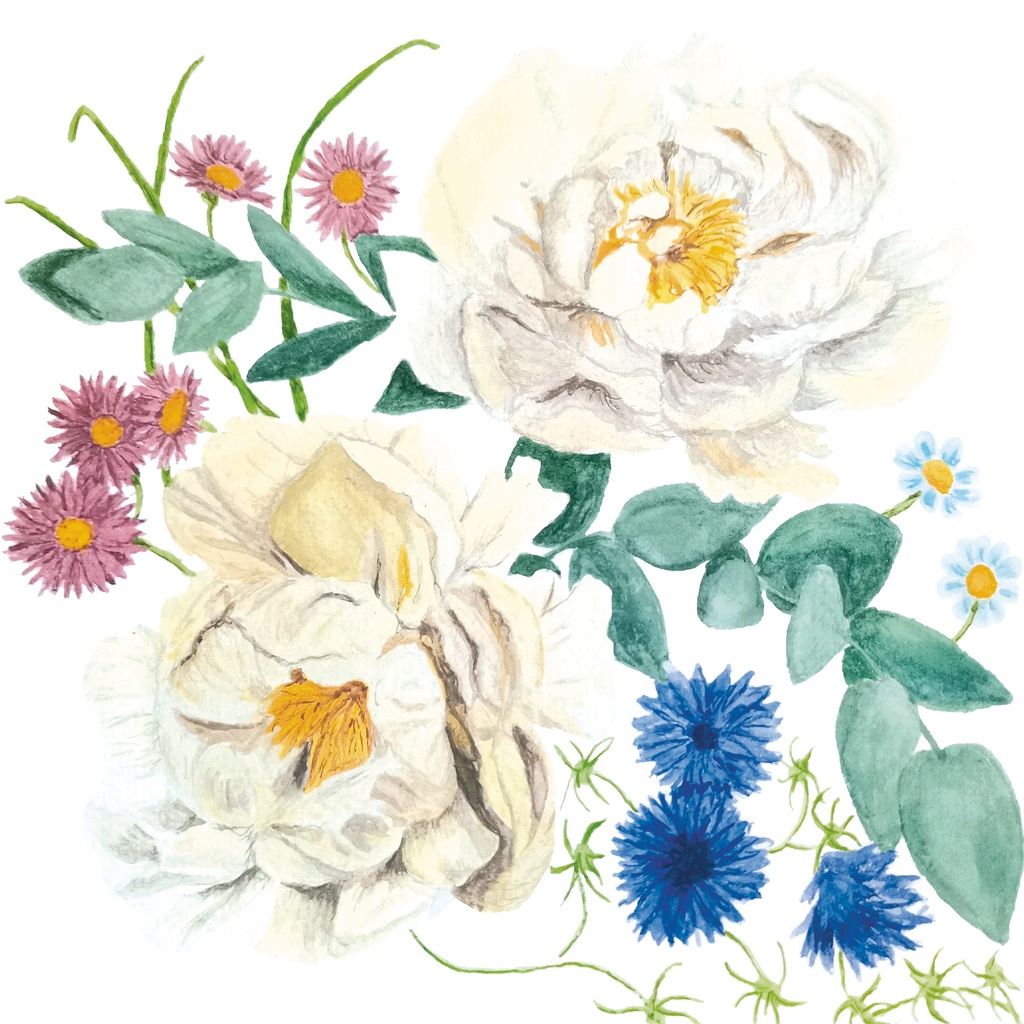 Carte "Pivoines"