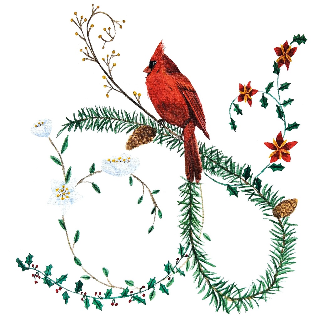 Carte "Cardinal"