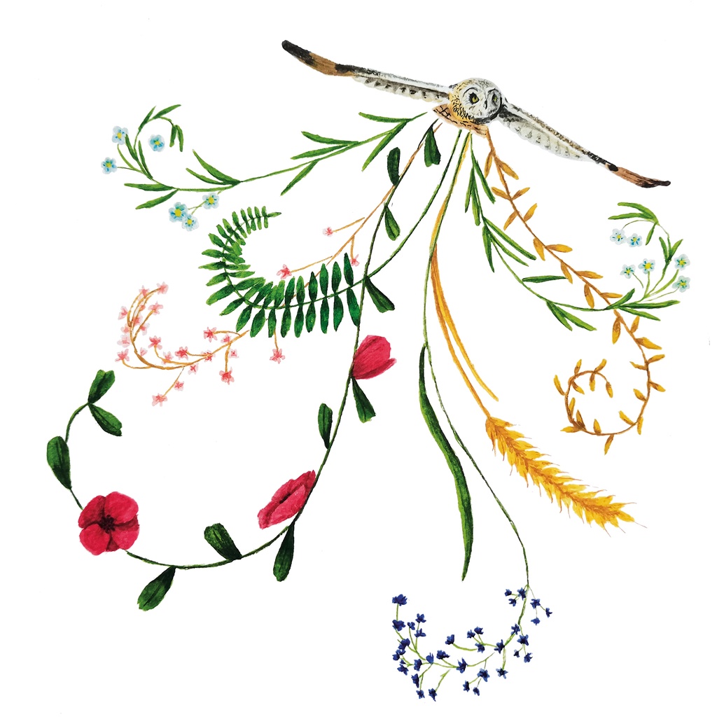 Card "Owl"