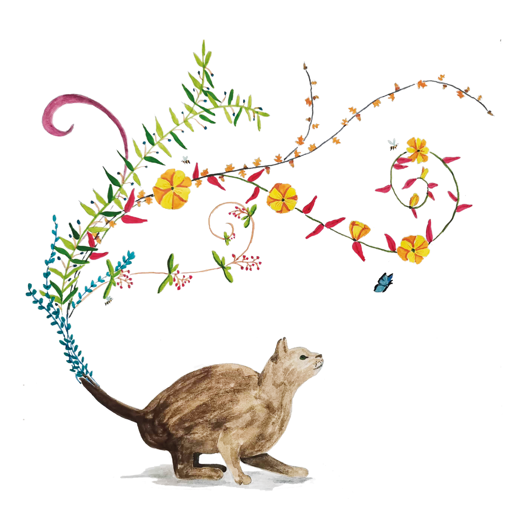 Carte "Chat"